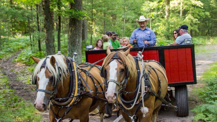 horse-drawn wagon ride